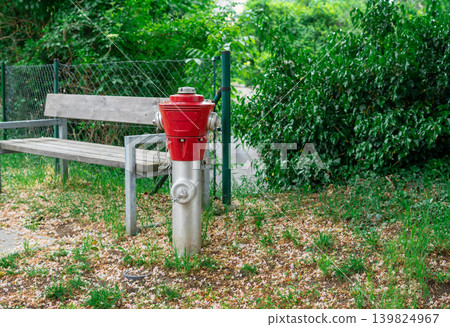 A red fire hydrant standing near a bench against a background of green bushes 139824967