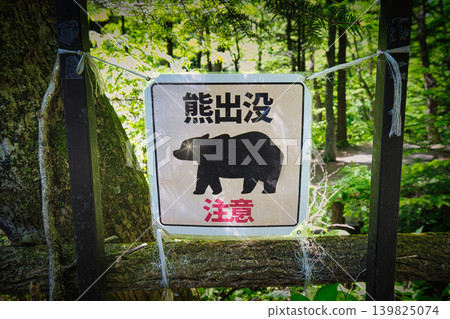 Signs in tourist areas warning of bear sightings Signs in tourist areas warning of bear sightings 139825074