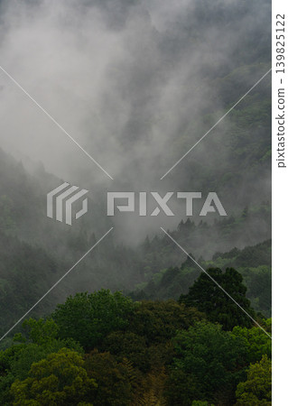 Fog wrapped in fog 139825122