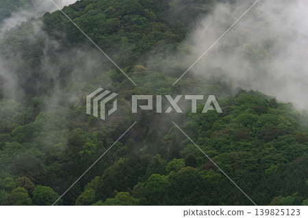 Fog wrapped in fog Fog wrapped in fog 139825123