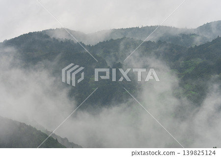 Fog wrapped in fog Fog wrapped in fog 139825124