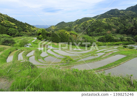 [Chiba Prefecture] Oyama Senmaida, where rice planting has been completed 139825246