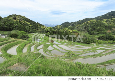 [千葉縣]大山縣千滿田 139825249