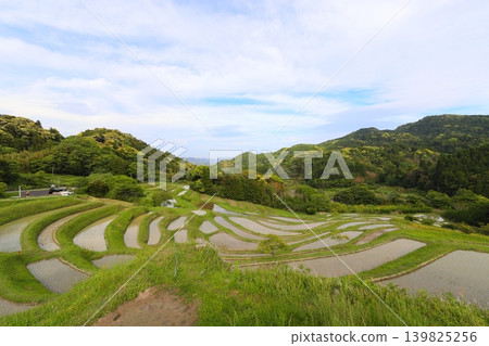 [Chiba Prefecture] Oyama Senmaida, where rice planting has been completed 139825256