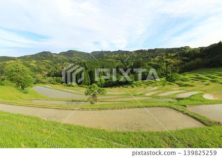 [Chiba Prefecture] Oyama Senmaida, where rice planting has been completed 139825259