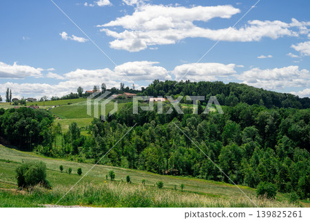 Scenic countryside with vineyards, farmhouses and lush green hills under sky with clouds,peaceful rural landscape ideal for travel, agriculture themes Scenic countryside with vineyards, farmhouses and lush green hills under sky with clouds,peaceful rural landscape ideal for travel, agriculture themes 139825261