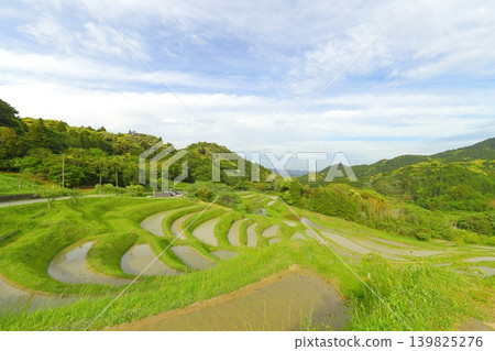 [Chiba Prefecture] Oyama Senmaida, where rice planting has been completed 139825276