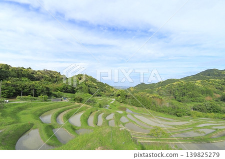 [Chiba Prefecture] Oyama Senmaida, where rice planting has been completed 139825279