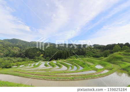 [千葉縣]大山縣千滿田 139825284