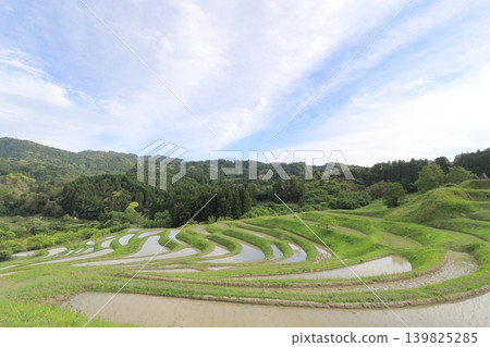 [千葉縣]大山縣千滿田 139825285