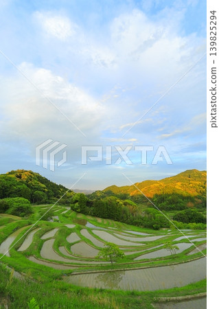 [千葉縣]大山縣千滿田 139825294