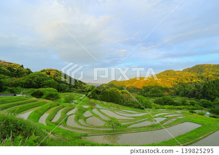 [千葉縣]大山縣千滿田 139825295