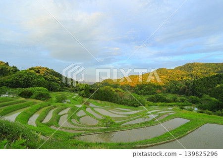 [千葉縣]大山縣千滿田 139825296