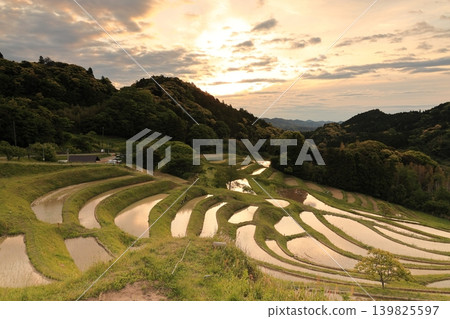 Oyama Senmaida和Morning Sky 139825597