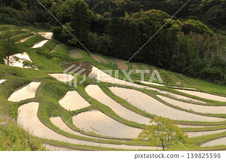 Oyama Senmaida和Morning Sky 139825598