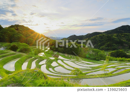 Oyama Senmaida和Morning Sky Oyama Senmaida和Morning Sky 139825603
