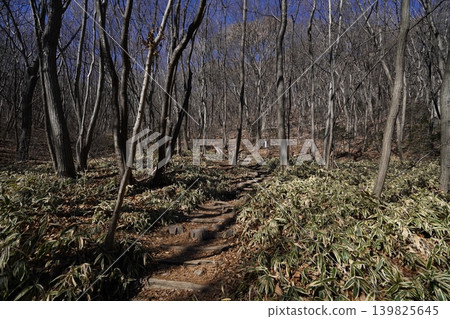 攀登澀川市水澤岳。從水澤岳登山起點到山頂的路段非常陡峭。 2026年1月9日 攀登澀川市水澤岳。從水澤岳登山起點到山頂的路段非常陡峭。 2026年1月9日 139825645