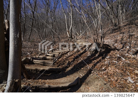 I climbed Mt. Mizusawa in Shibukawa City. The hiking trail is on the south slope of the mountain, so it's well-lit. January 9, 2026 139825647