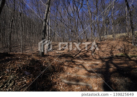 I climbed Mt. Mizusawa in Shibukawa City. The hiking trail is on the south slope of the mountain, so it's well-lit. January 9, 2026 I climbed Mt. Mizusawa in Shibukawa City. The hiking trail is on the south slope of the mountain, so it's well-lit. January 9, 2026 139825649