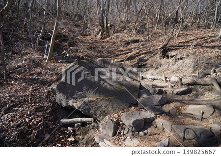 Climbing Mt. Mizusawa in Shibukawa City. The climb from Oyasumiishi to the summit is tough. January 9, 2026 Climbing Mt. Mizusawa in Shibukawa City. The climb from Oyasumiishi to the summit is tough. January 9, 2026 139825667