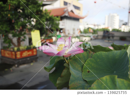 越南胡志明市永嚴寺 越南胡志明市永嚴寺 139825735