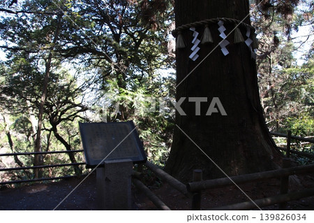 Takao Sanctuary 139826034