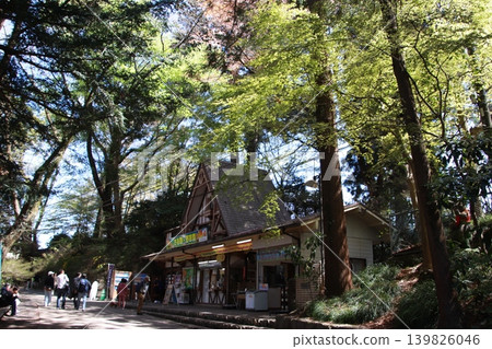 Takao Sanctuary 139826046