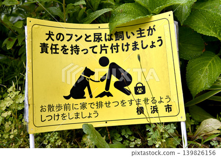 日本橫濱的城市景觀:遛狗禮儀…寵物主人應負責清理自家狗的糞便。 日本橫濱的城市景觀:遛狗禮儀…寵物主人應負責清理自家狗的糞便。 139826156