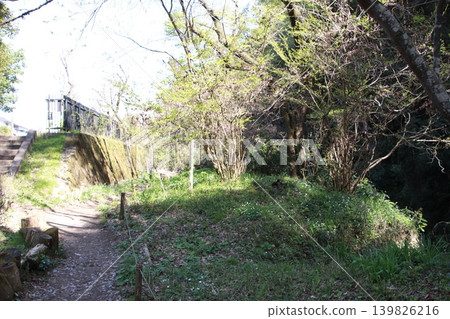 Mount Takao: Scenery and Flowers Mount Takao: Scenery and Flowers 139826216