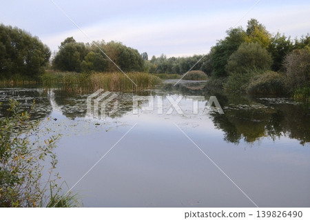 Calm water reflects trees and reeds at Neris River Calm water reflects trees and reeds at Neris River 139826490