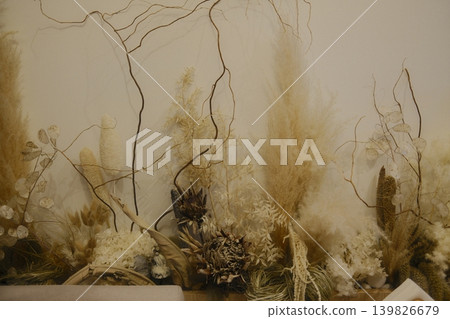 Assorted dried flowers and bare twigs arranged against neutral wall background Assorted dried flowers and bare twigs arranged against neutral wall background 139826679