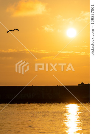 The golden sunrise and flock of birds rising over Noroshi Fishing Port near Rokugosaki (Suzu City, Ishikawa Prefecture) *Location of shooting is indicated in the comments section of the work. 139827001
