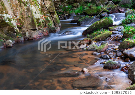Gokei Gorge, upper reaches of the mountain stream in late autumn, 1, Soja City, Okayama Prefecture Gokei Gorge, upper reaches of the mountain stream in late autumn, 1, Soja City, Okayama Prefecture 139827055