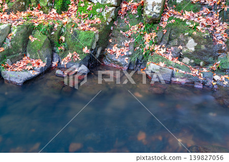 岡山縣總社市豪溪峽谷,晚秋景色:水潭與落葉 1 岡山縣總社市豪溪峽谷,晚秋景色:水潭與落葉 1 139827056