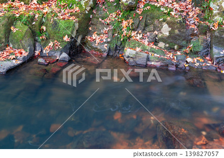 Gokei Gorge, Late Autumn Scenery: Pools and Fallen Leaves (Part 2), Soja City, Okayama Prefecture Gokei Gorge, Late Autumn Scenery: Pools and Fallen Leaves (Part 2), Soja City, Okayama Prefecture 139827057