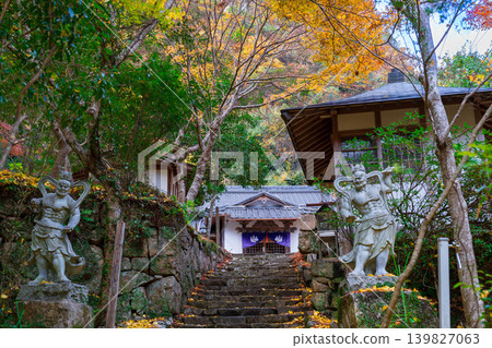 Gokei Gorge: Scenery of Gokei-ji Temple in late autumn (2) - Soja City, Okayama Prefecture Gokei Gorge: Scenery of Gokei-ji Temple in late autumn (2) - Soja City, Okayama Prefecture 139827063