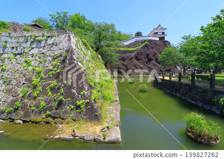 臼杵城遺址(臼杵市國家歷史遺址) 臼杵城遺址(臼杵市國家歷史遺址) 139827262