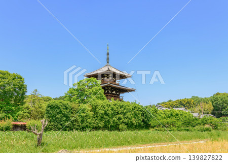 【奈良縣】斑鳩町法喜寺(拍攝於2026年5月19日) 【奈良縣】斑鳩町法喜寺(拍攝於2026年5月19日) 139827822