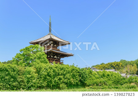 [Nara Prefecture] Hokiji Temple, Ikaruga Town (Photographed on 2026/05/19) 139827823