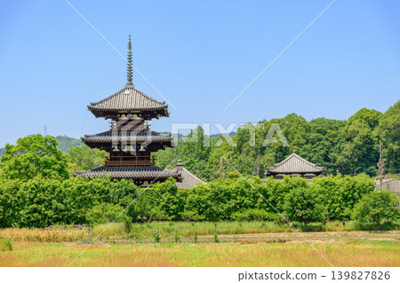 【奈良縣】斑鳩町法喜寺(拍攝於2026年5月19日) 【奈良縣】斑鳩町法喜寺(拍攝於2026年5月19日) 139827826