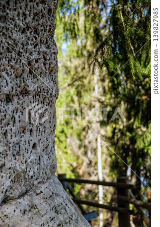 Visitors explore rock formations along the trail near Gauja River in Gauja National Park Visitors explore rock formations along the trail near Gauja River in Gauja National Park 139827985