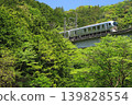Fresh green Seibu sibi line 139828554