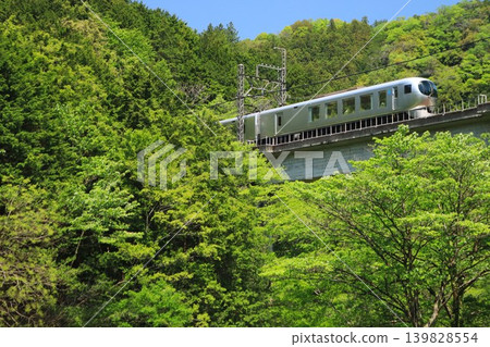 Fresh green Seibu sibi line Fresh green Seibu sibi line 139828554