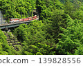 The Ikawa Line in Fresh Greenery 139828556