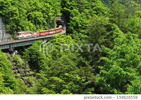 The Ikawa Line in Fresh Greenery The Ikawa Line in Fresh Greenery 139828556