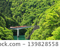 The Ikawa Line in Fresh Greenery 139828558