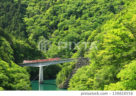 The Ikawa Line in Fresh Greenery The Ikawa Line in Fresh Greenery 139828558