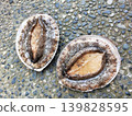 鮑魚（一種魚） 139828595