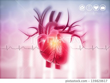 Anatomy of Human Heart Anatomy of Human Heart 139828617