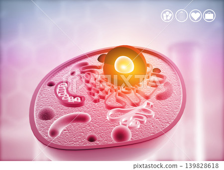 Anatomy of a cell Anatomy of a cell 139828618